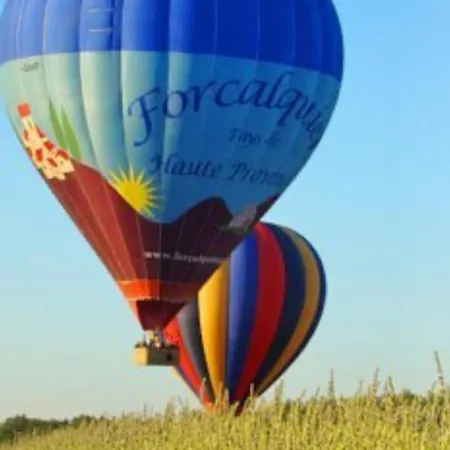 Sous Les Etoiles En Provence, Les Bambous