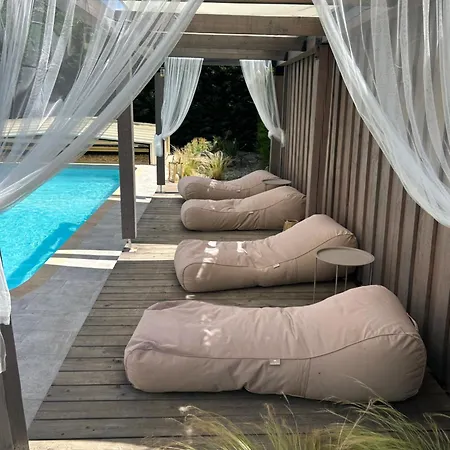 Sous Les Etoiles En Provence, Les Bambous