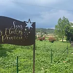 Sous Les Etoiles En Provence, Les Bambous Lurs